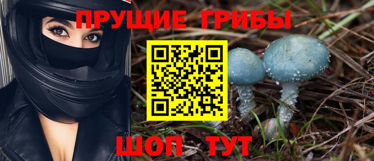 Уссурийск  дарнет шоп  Вход с VPN  Галлюциногенные грибы ЛСД 