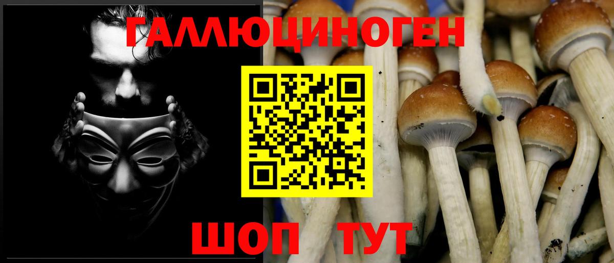 Галлюциногенные грибы Magic Shrooms Уссурийск